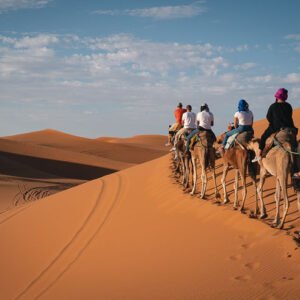 Roots of Morocco: An Indigenous & Environmental Journey <span class="pcs">November 8–14, 2026</span>