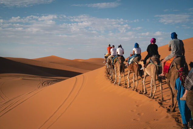 Roots of Morocco An Indigenous & Environmental Journey <span class="pcs">November 8–14, 2026</span>